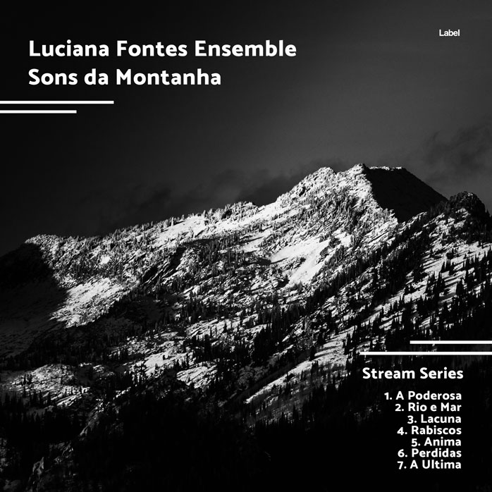 2D view of Premade Classical & Romantic Music Album Cover - Cod Gray #5355 | AlbumArtZone*