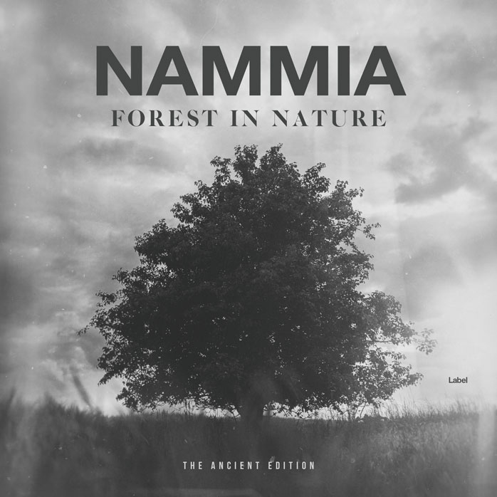 2D view of Premade Pop Book Cover - Nobel #5467 | AlbumArtZone*