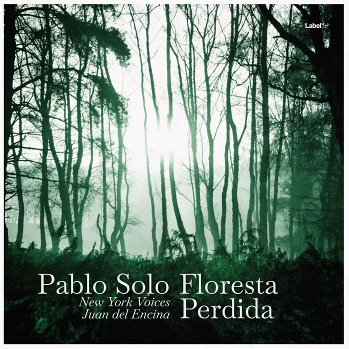 2D view of Premade Indie & Folk Music Album Cover - Celtic #5551 | AlbumArtZone*