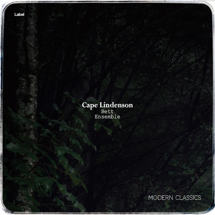 2D view of Premade Indie & Folk Music Album Cover - Woodsmoke #5693 | AlbumArtZone*