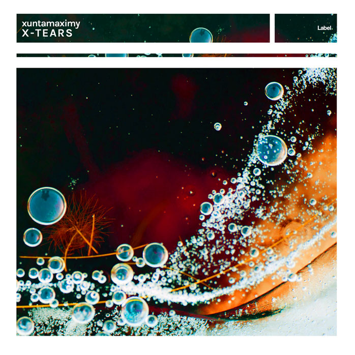 2D view of Premade EDM, House & Dub Album Cover - Pavlova #6173 | AlbumArtZone*