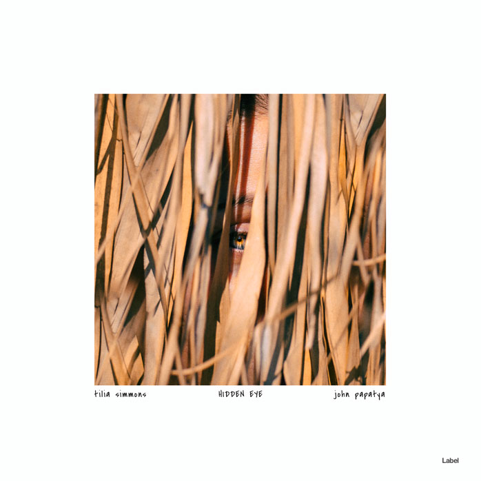 2D view of Premade Pop Album Cover - Whiskey #6287 | AlbumArtZone*