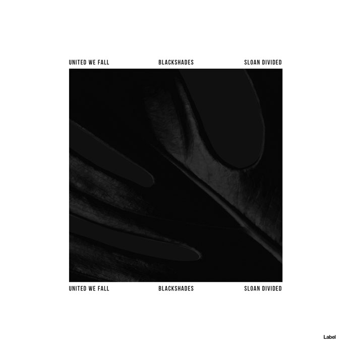 2D view of Premade Pop Album Cover - Cod Gray #6294 | AlbumArtZone*