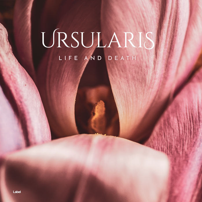 2D view of Premade Electronica & Ambient Album Cover - Turkish Rose #6718 | AlbumArtZone*