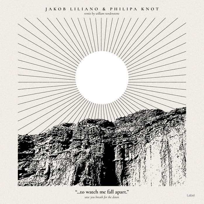 2D view of Premade Dance & House Album Cover - Pampas #7217 | AlbumArtZone*