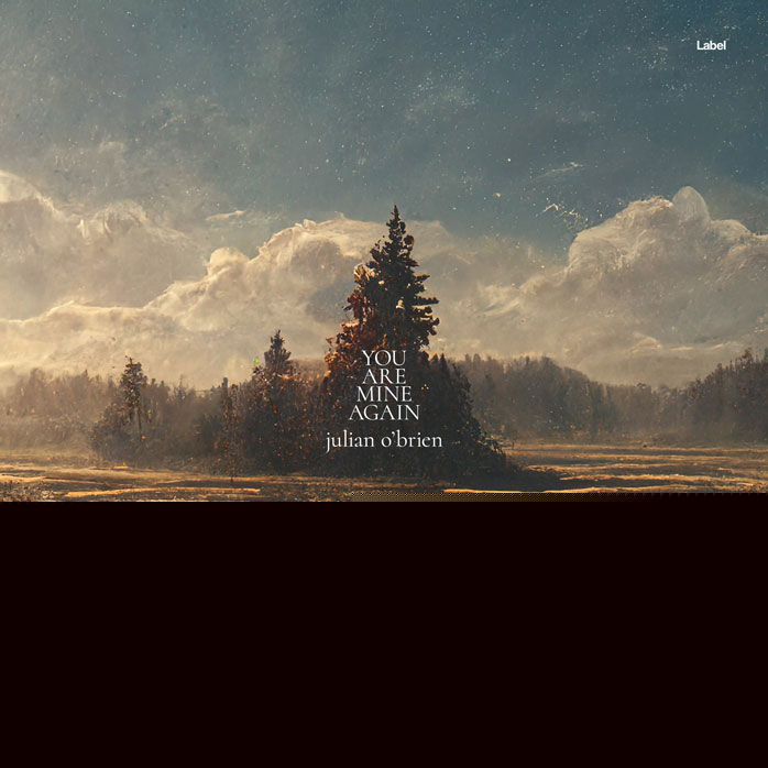 2D view of Premade Country & Acoustic Album Cover - Chicago #7244 | AlbumArtZone*