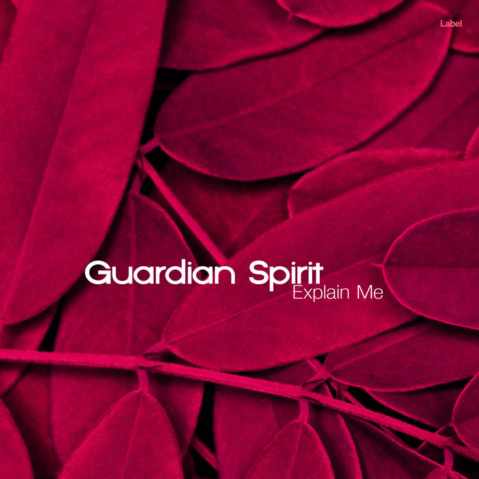 2D view of Premade Rock,Punk & Alternative Album Cover - Paprika #7569 | AlbumArtZone*
