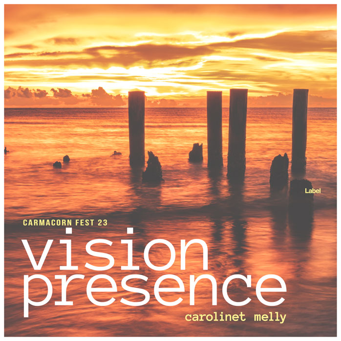 2D view of Premade Electronica & Ambient Album Cover - Raw Sienna #7717 | AlbumArtZone*