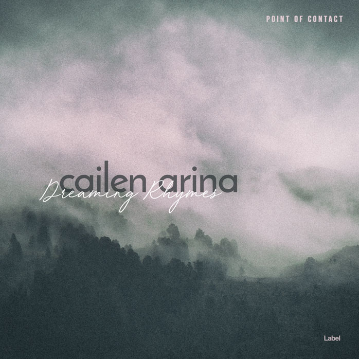 2D view of Premade Pop Album Cover - Pink Swan #7810 | AlbumArtZone*