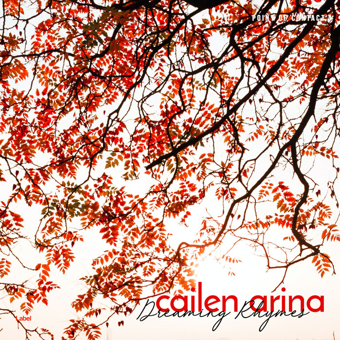 2D view of Premade Pop Album Cover - Sambuca #7811 | AlbumArtZone*