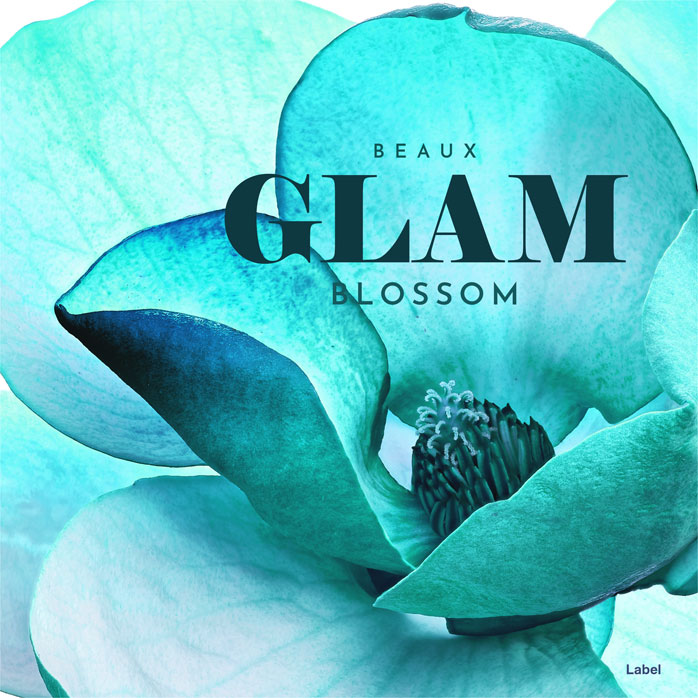 2D view of Premade Pop Album Cover - Pelorous #8216 | AlbumArtZone*