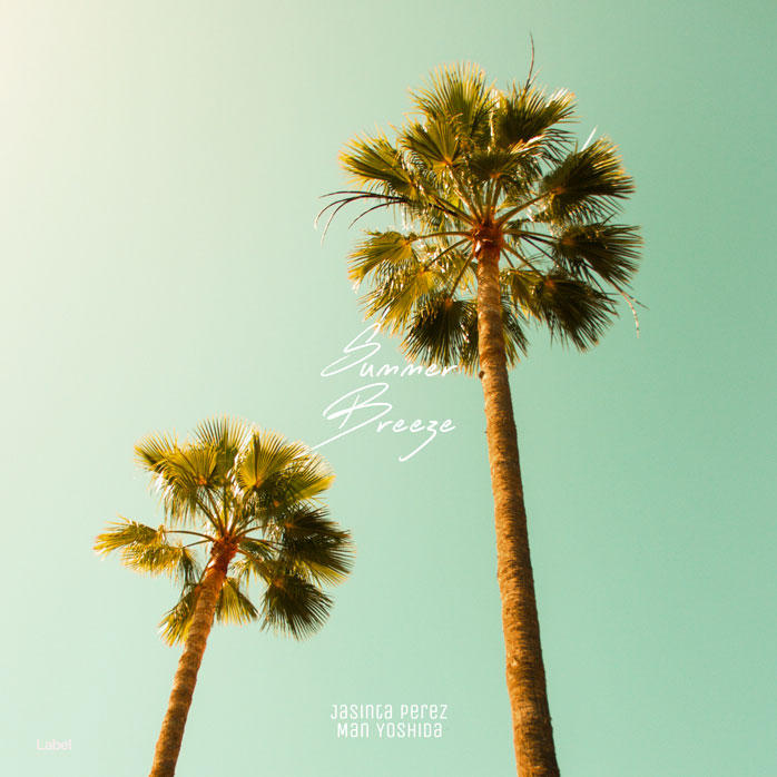 2D view of Premade Country & Acoustic Album Cover - Surf #8481 | AlbumArtZone*
