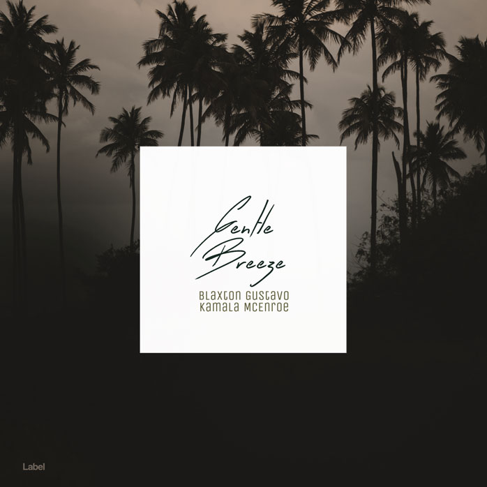 2D view of Premade Summer Hits Album Cover - Rangoon Green #8485 | AlbumArtZone*