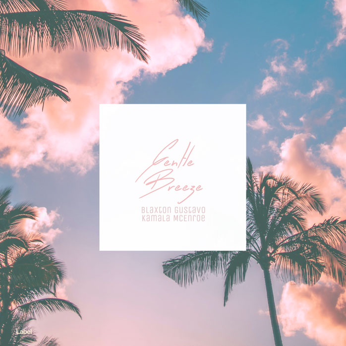 2D view of Premade Country & Acoustic Album Cover - Pink Flare #8487 | AlbumArtZone*