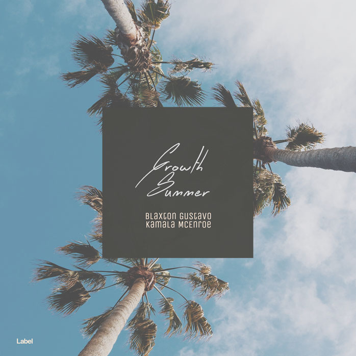2D view of Premade Dance & House Album Cover - Bali Hai #8488 | AlbumArtZone*