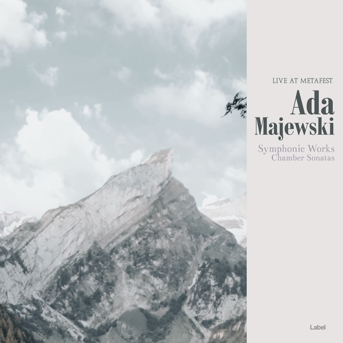 2D view of Premade Contemporary Music Album Cover - Iron #8563 | AlbumArtZone*