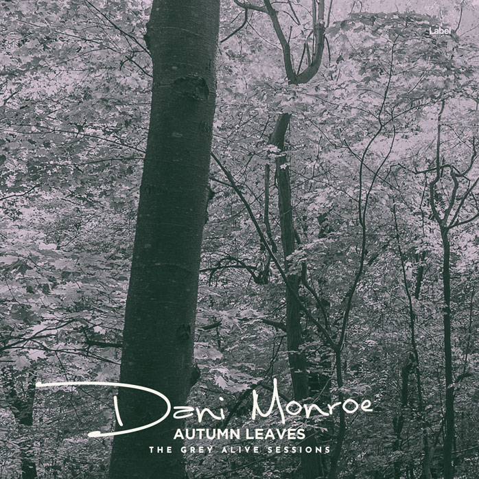 2D view of Premade Pop Album Cover - Cape Cod #8633 | AlbumArtZone*