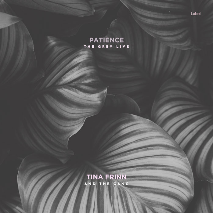 2D view of Premade Pop Album Cover - Tundora #8669 | AlbumArtZone*