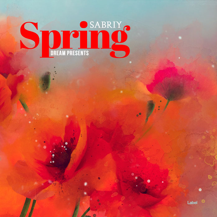 2D view of Premade Contemporary Music Album Cover - Valencia #8810 | AlbumArtZone*