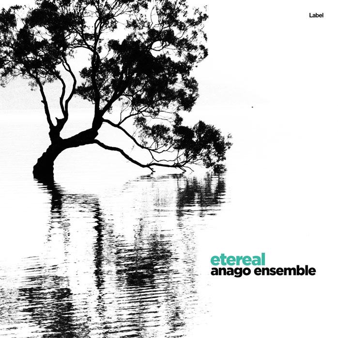 2D view of Premade Contemporary Music Album Cover - Gallery #8895 | AlbumArtZone*
