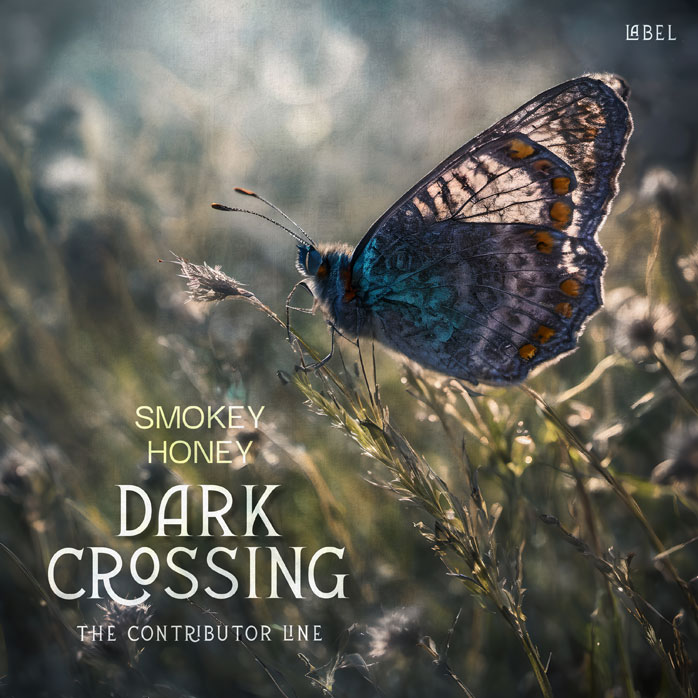 2D view of Premade Indie & Folk Music Book Cover - Kelp #10367 | AlbumArtZone*