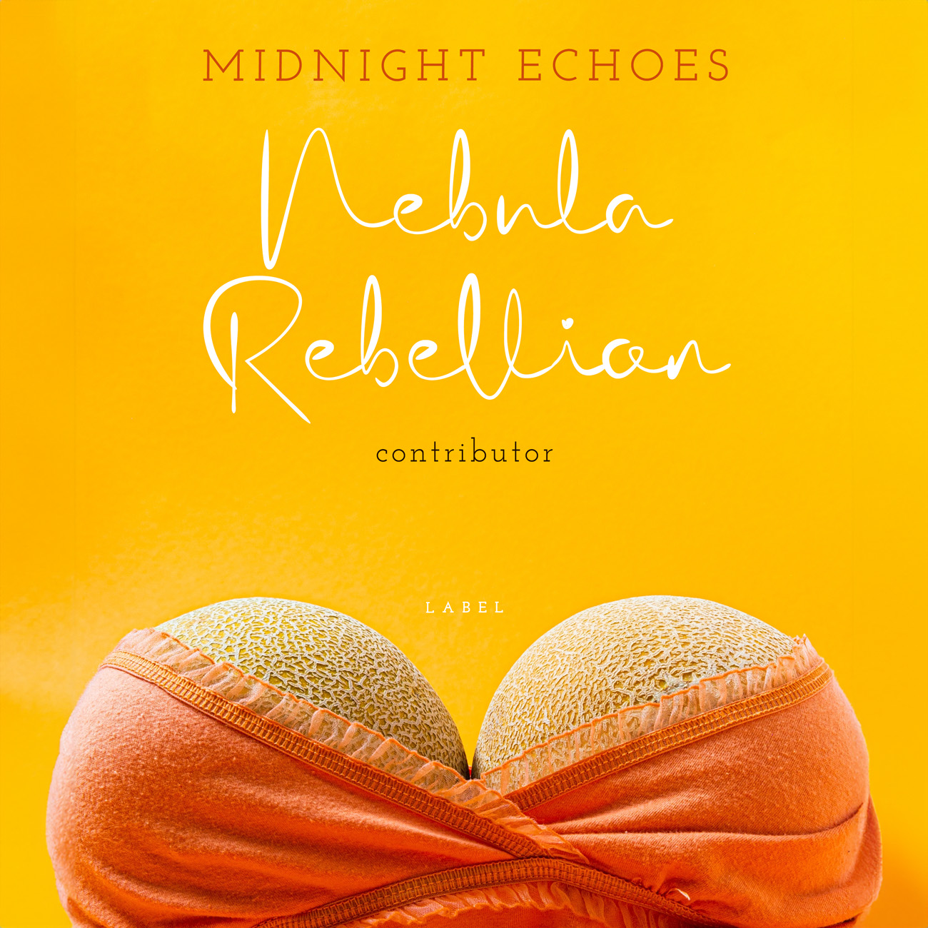 2D view of Premade Valentine's Day Book Cover - Amber #10506 | AlbumArtZone*