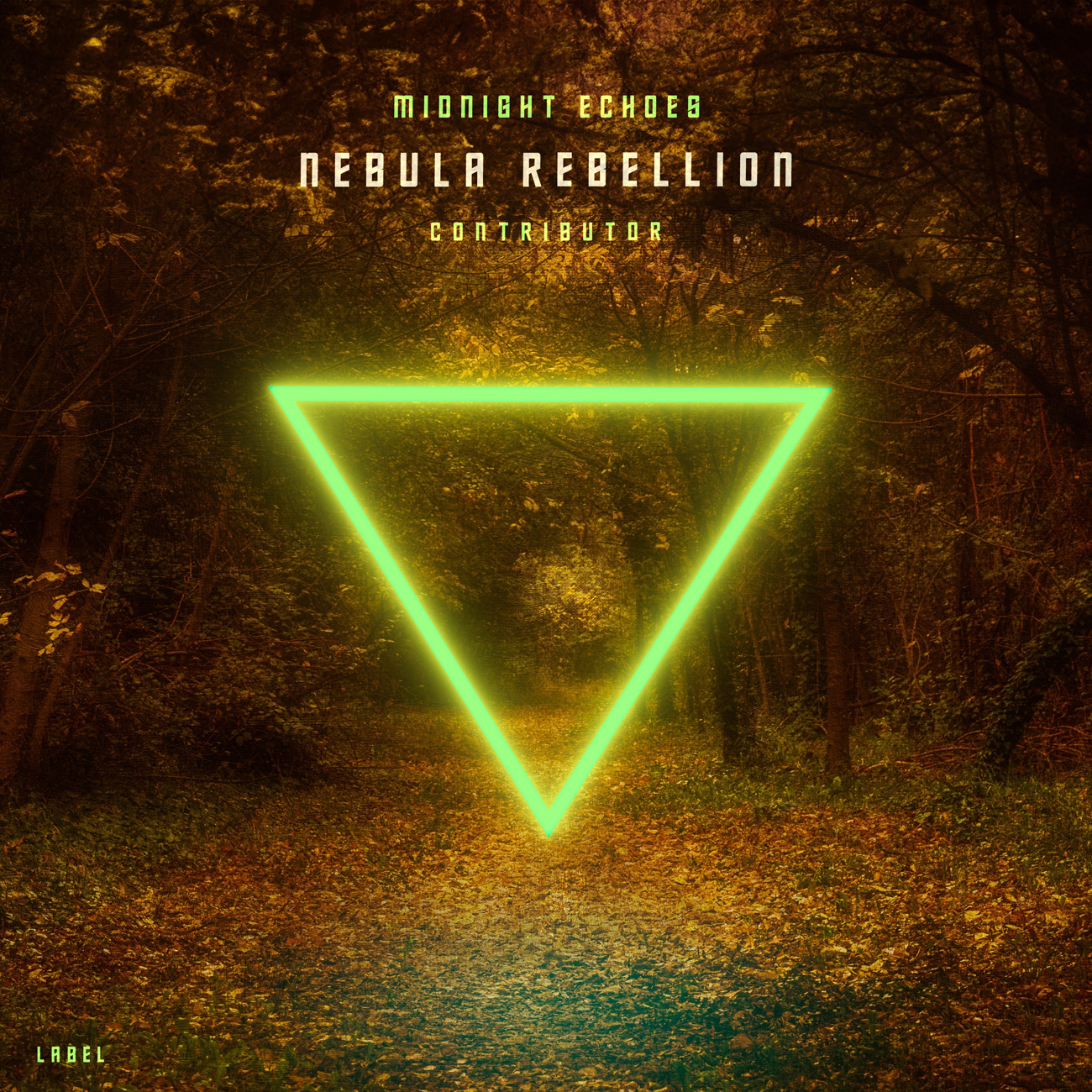 2D view of Premade Electronica & Ambient Album Cover - Bronze #10521 | AlbumArtZone*