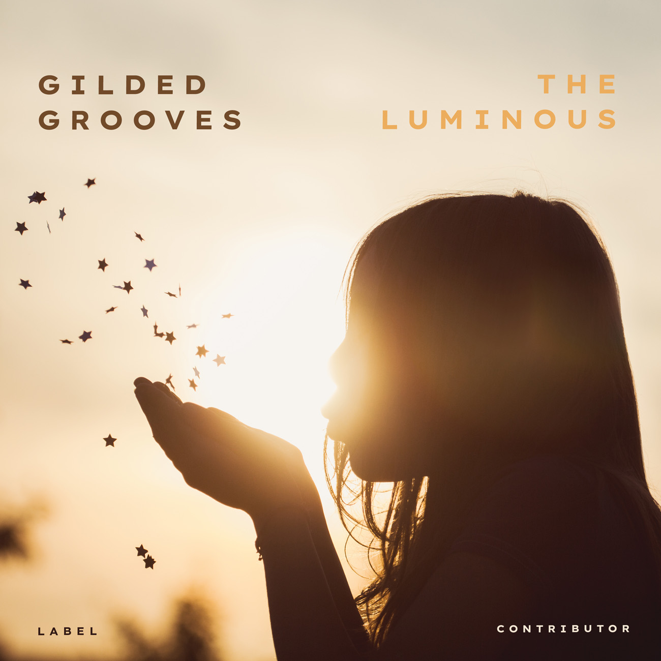 2D view of Premade Indie & Folk Music Book Cover - Almond #10646 | AlbumArtZone*