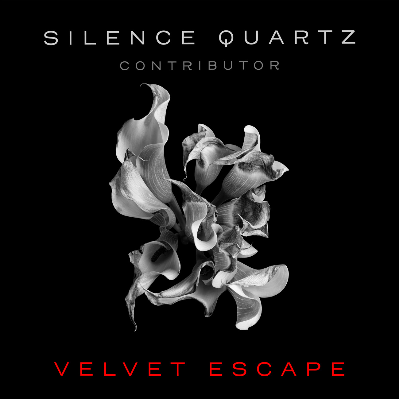 2D view of Premade Contemporary Music Book Cover - Black #11034 | AlbumArtZone*
