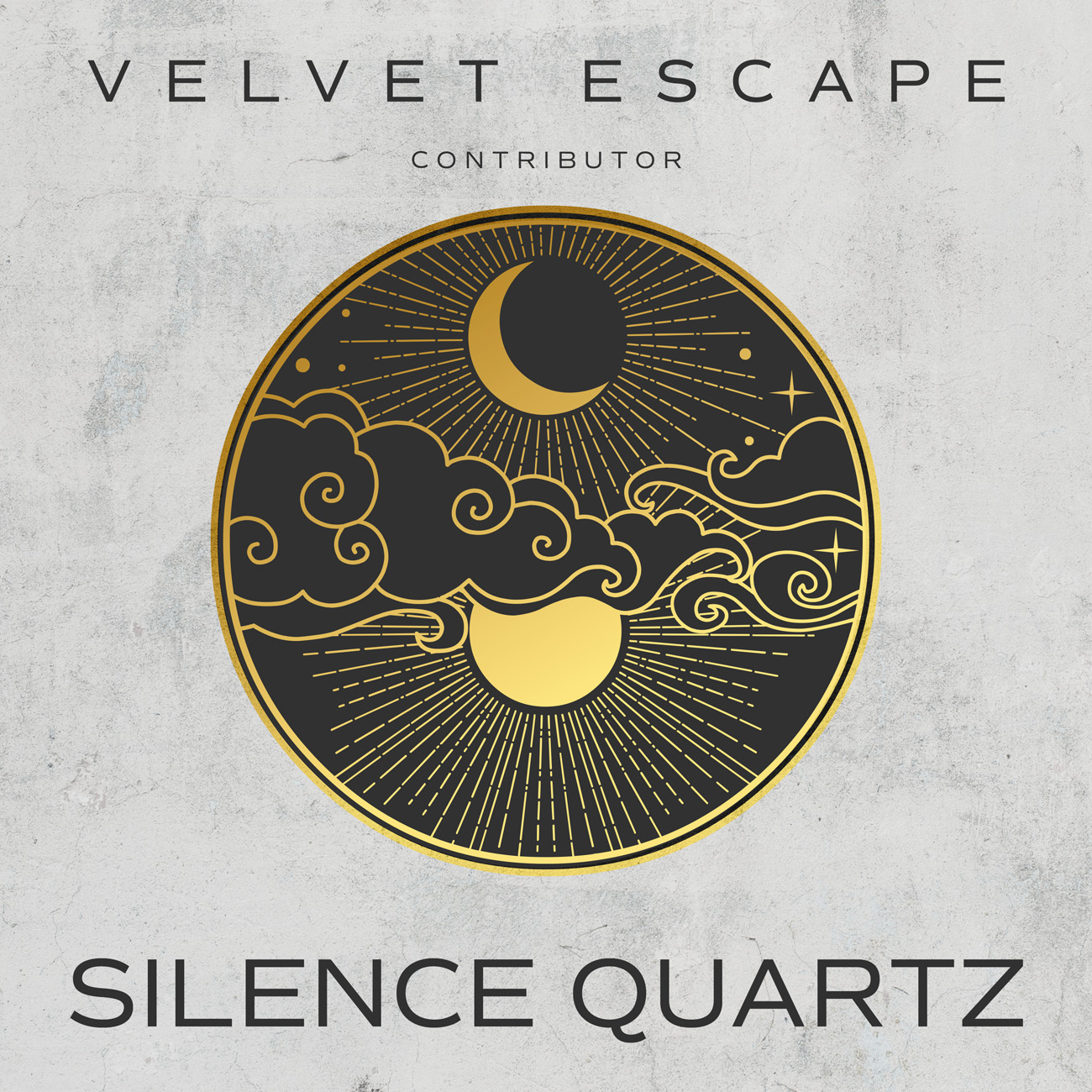 2D view of Premade Contemporary Music Album Cover - Quill Gray #11098 | AlbumArtZone*