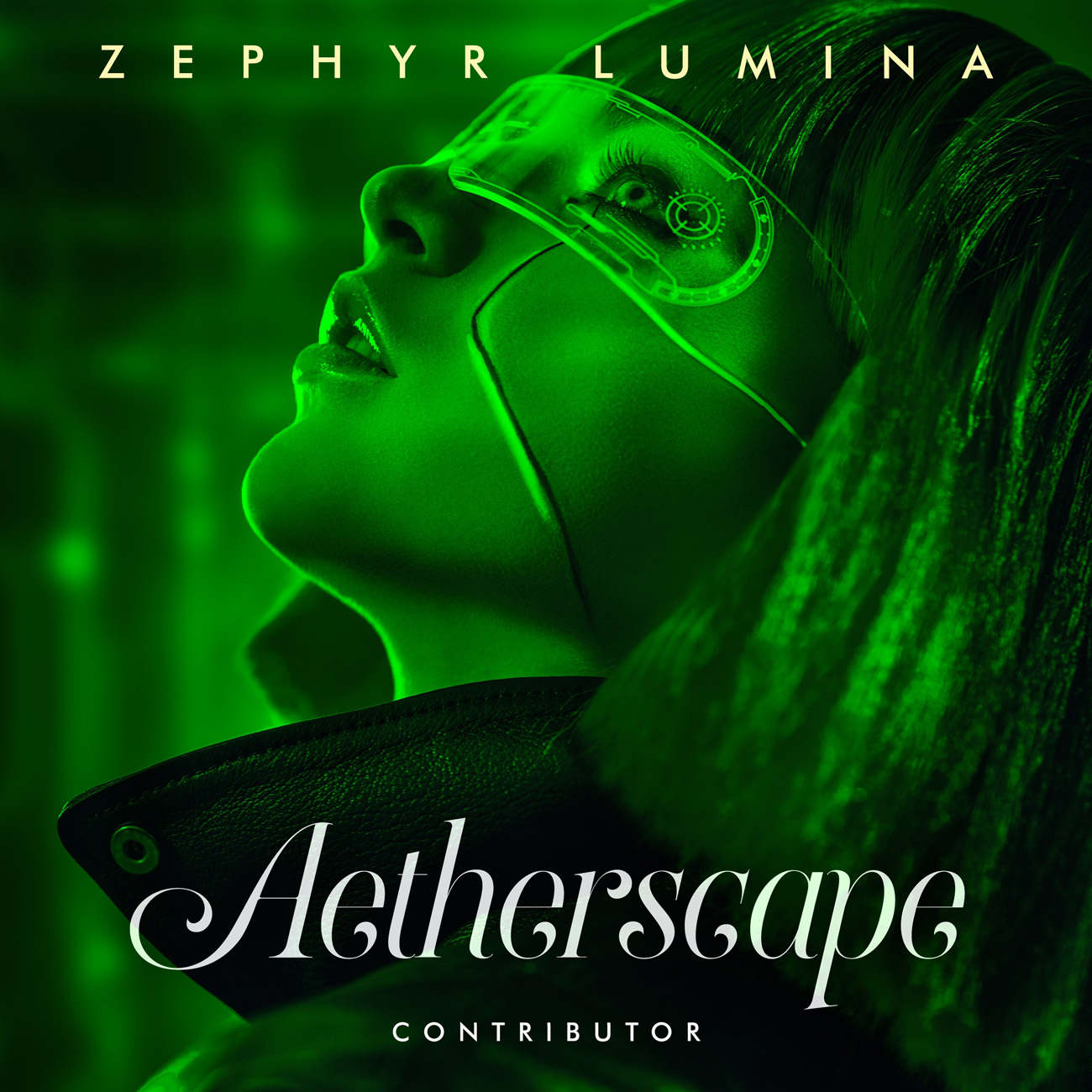 2D view of Premade Contemporary Music Book Cover - English Holly #11223 | AlbumArtZone*