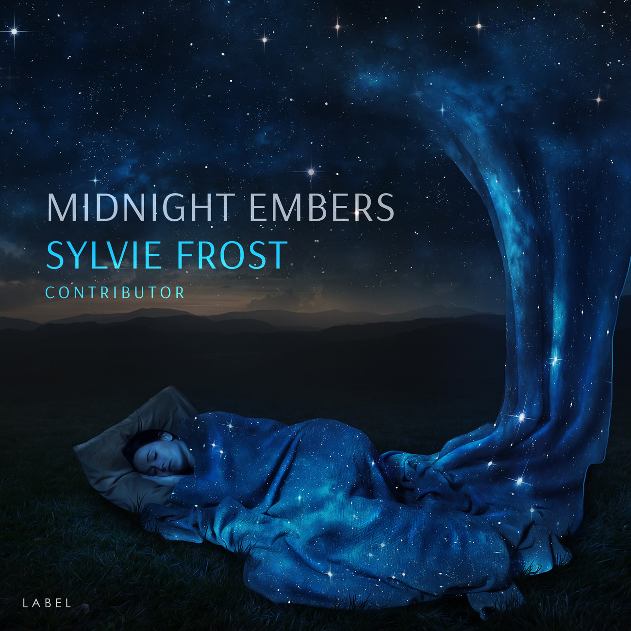 2D view of Premade Electronica & Ambient Book Cover - Big Stone #11258 | AlbumArtZone*