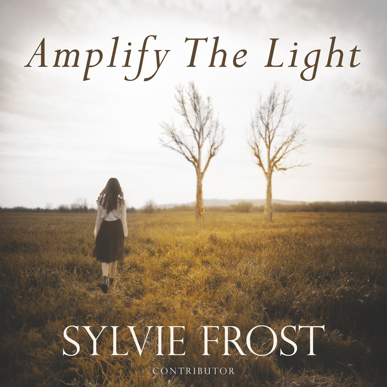 2D view of Premade Indie & Folk Music Book Cover - Millbrook #11354 | AlbumArtZone*