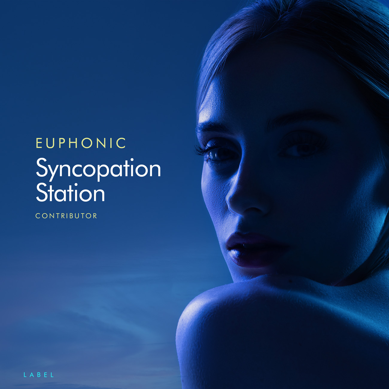 2D view of Premade Contemporary Music Book Cover - Chathams Blue #11401 | AlbumArtZone*