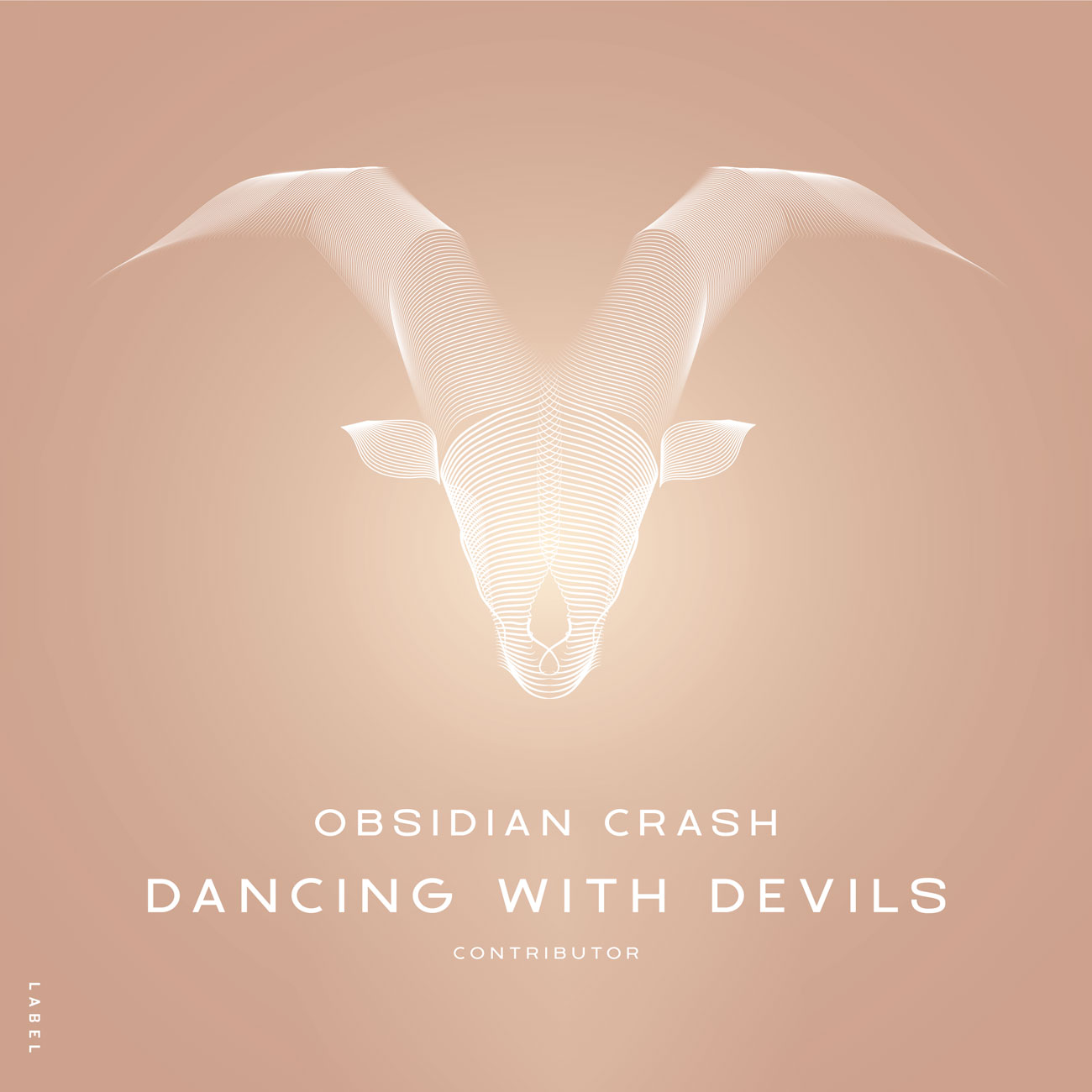2D view of Premade Pop Album Cover - Cameo #12045 | AlbumArtZone*