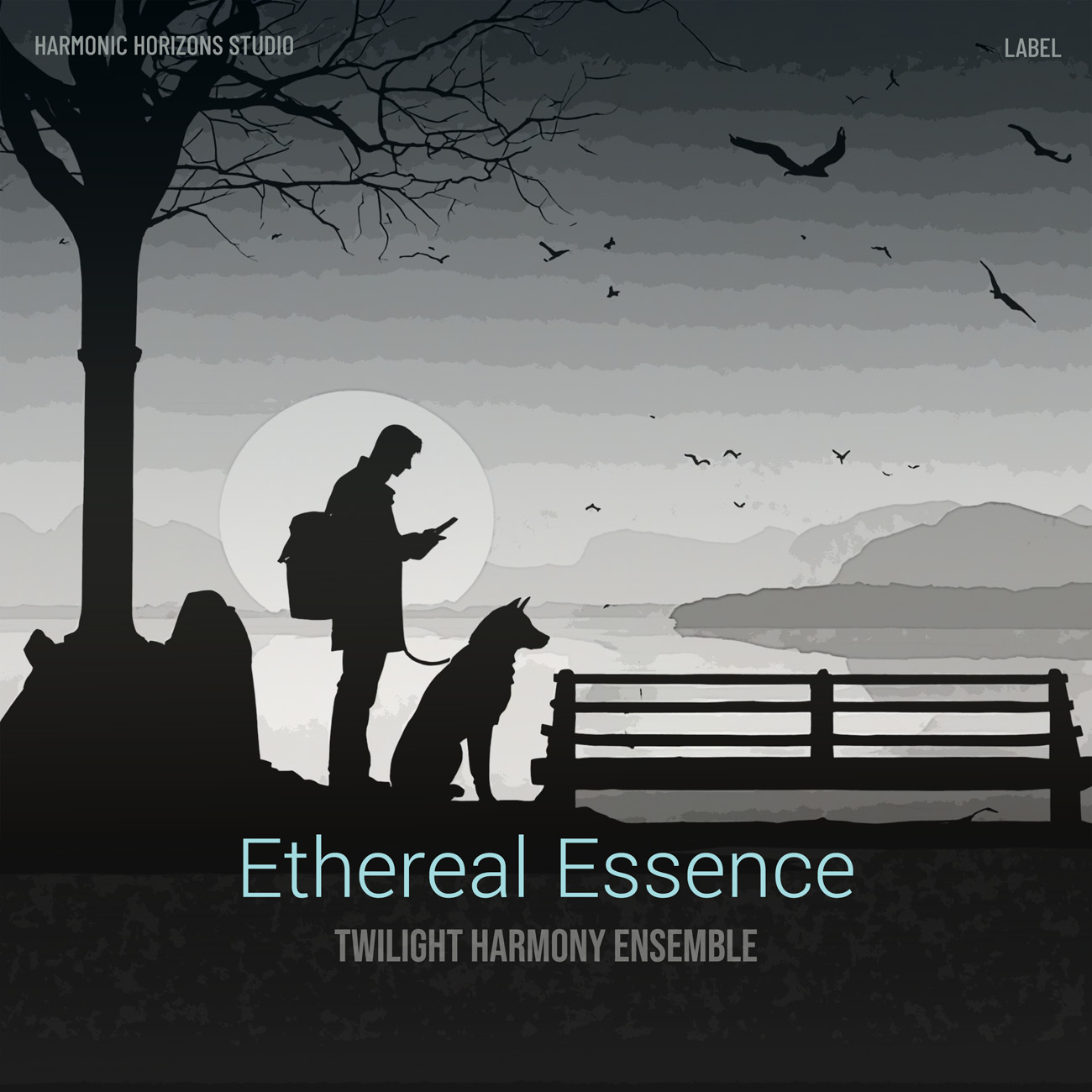 2D view of Premade Pop Album Cover - Pumice #16102 | AlbumArtZone*