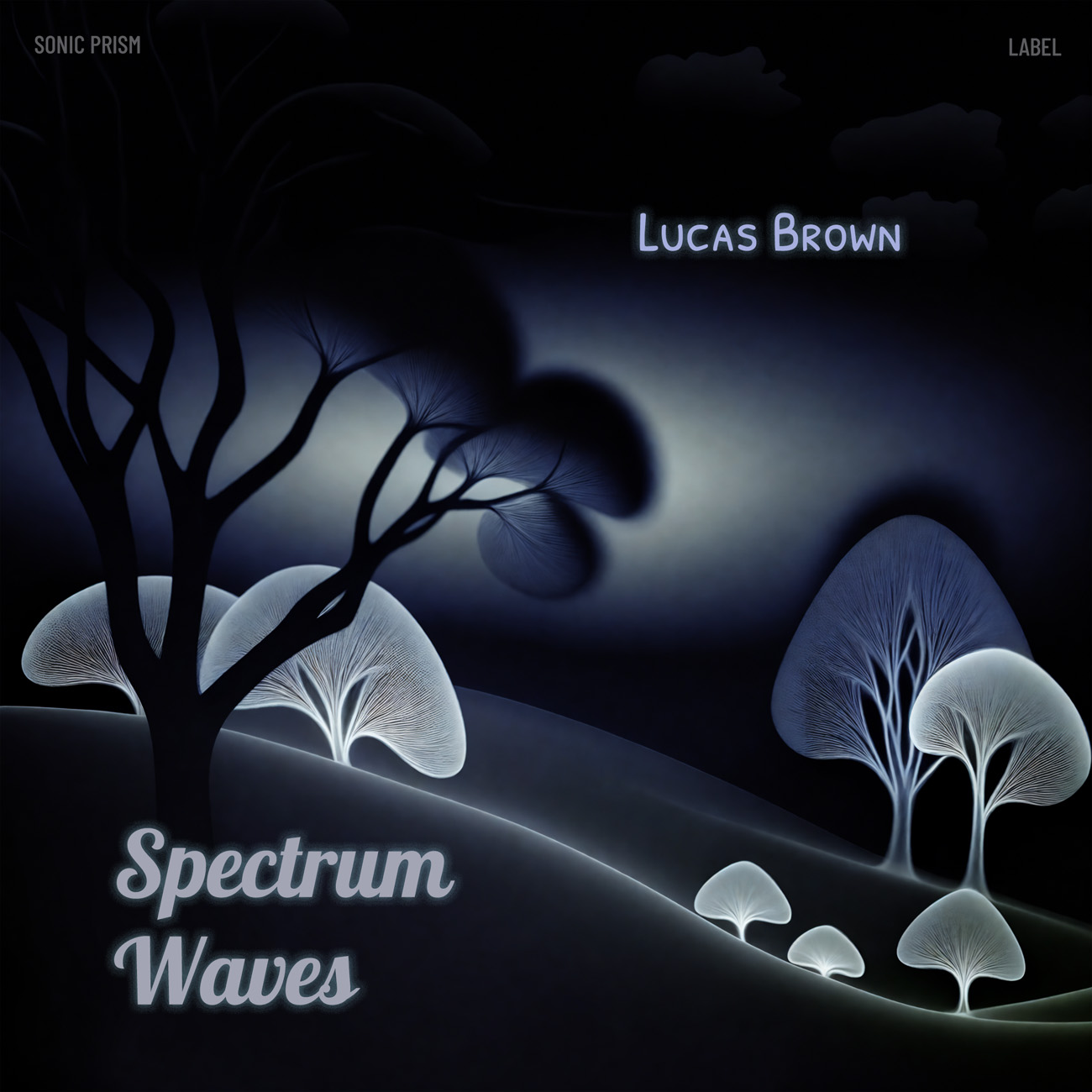 2D view of Premade Electronica & Ambient Album Cover - Black #16466 | AlbumArtZone*