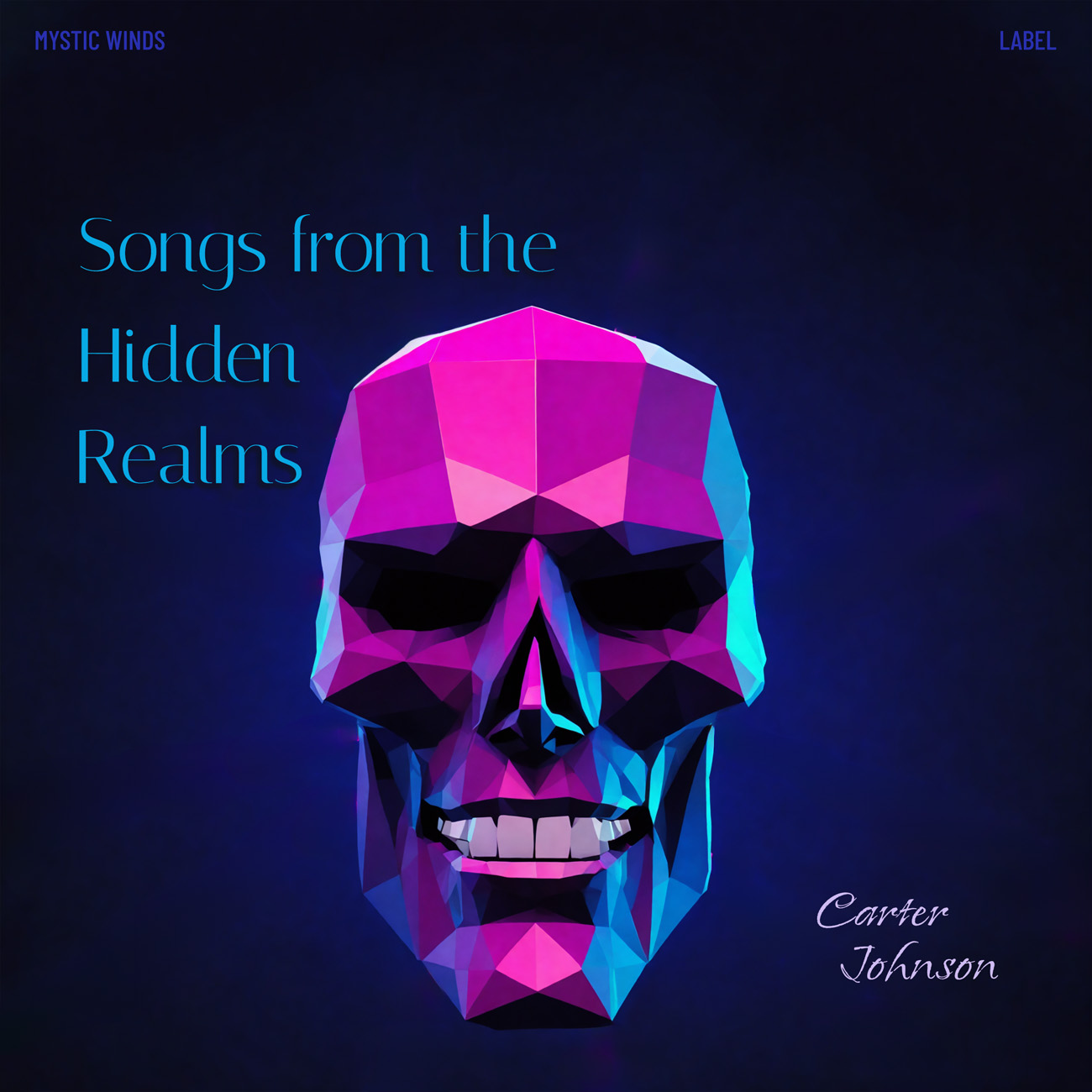 2D view of Premade Contemporary Music Album Cover - Haiti #16625 | AlbumArtZone*
