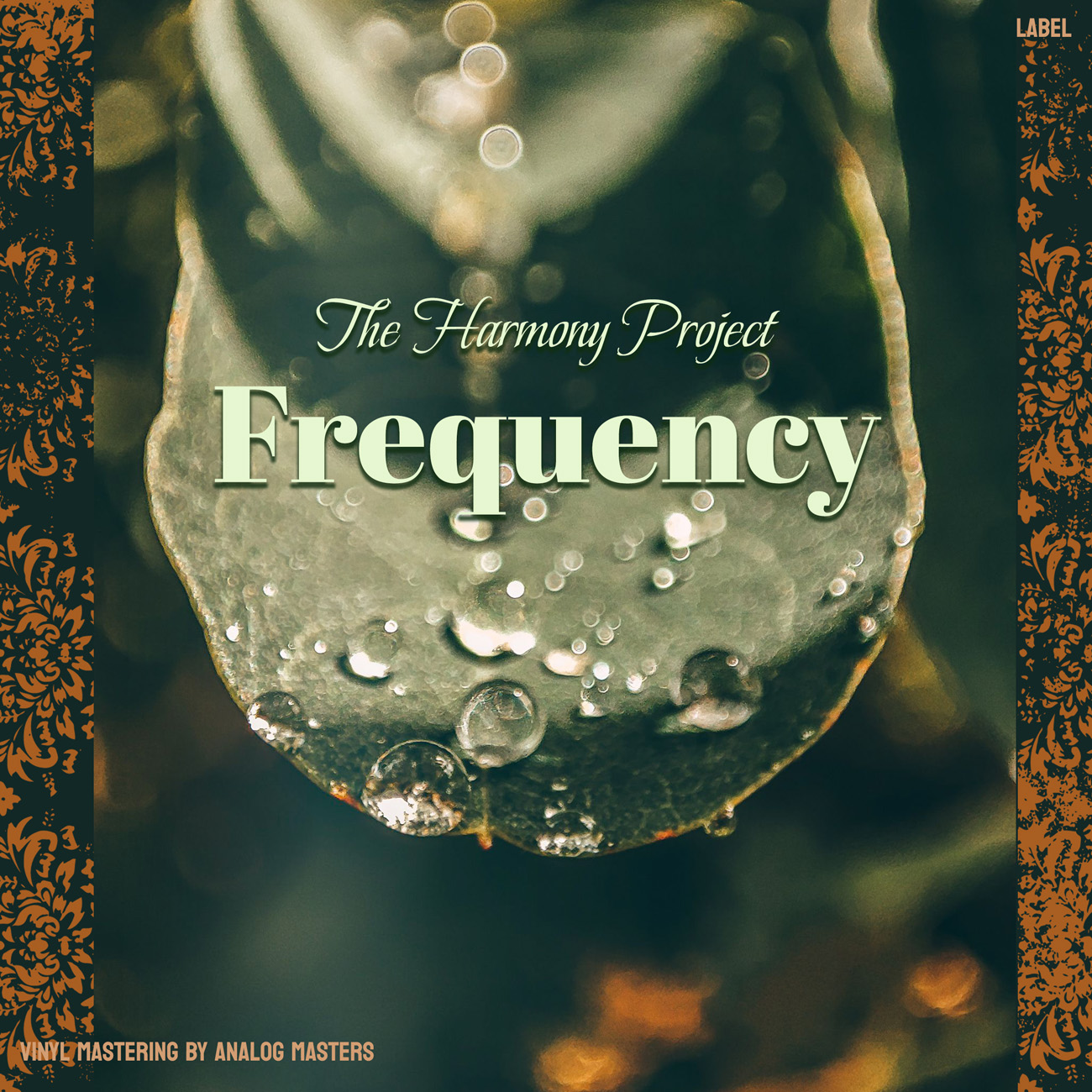 2D view of Premade Indie & Folk Music Album Cover - Mongoose #16775 | AlbumArtZone*