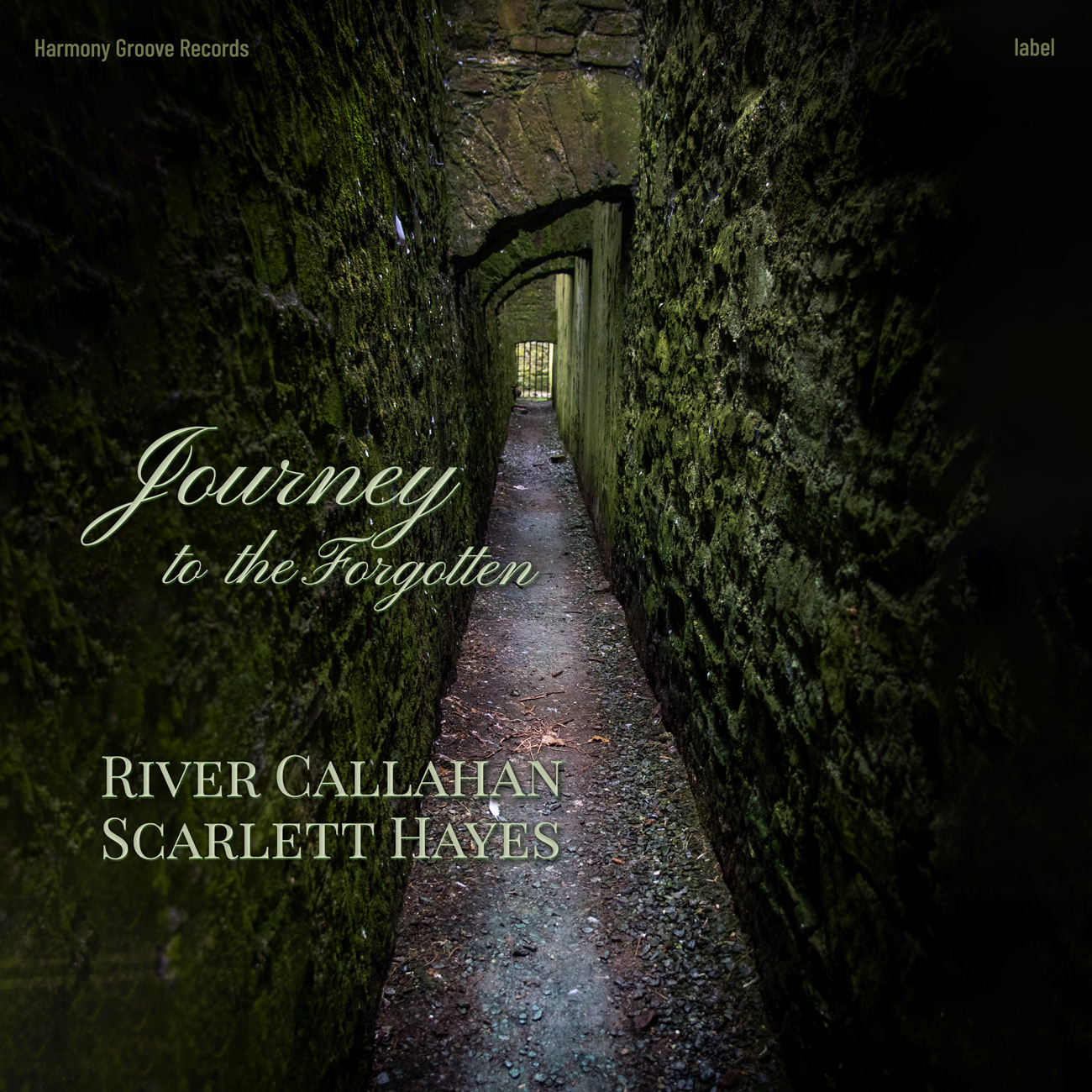 2D view of Premade Indie & Folk Music Book Cover - Hunter Green #16857 | AlbumArtZone*