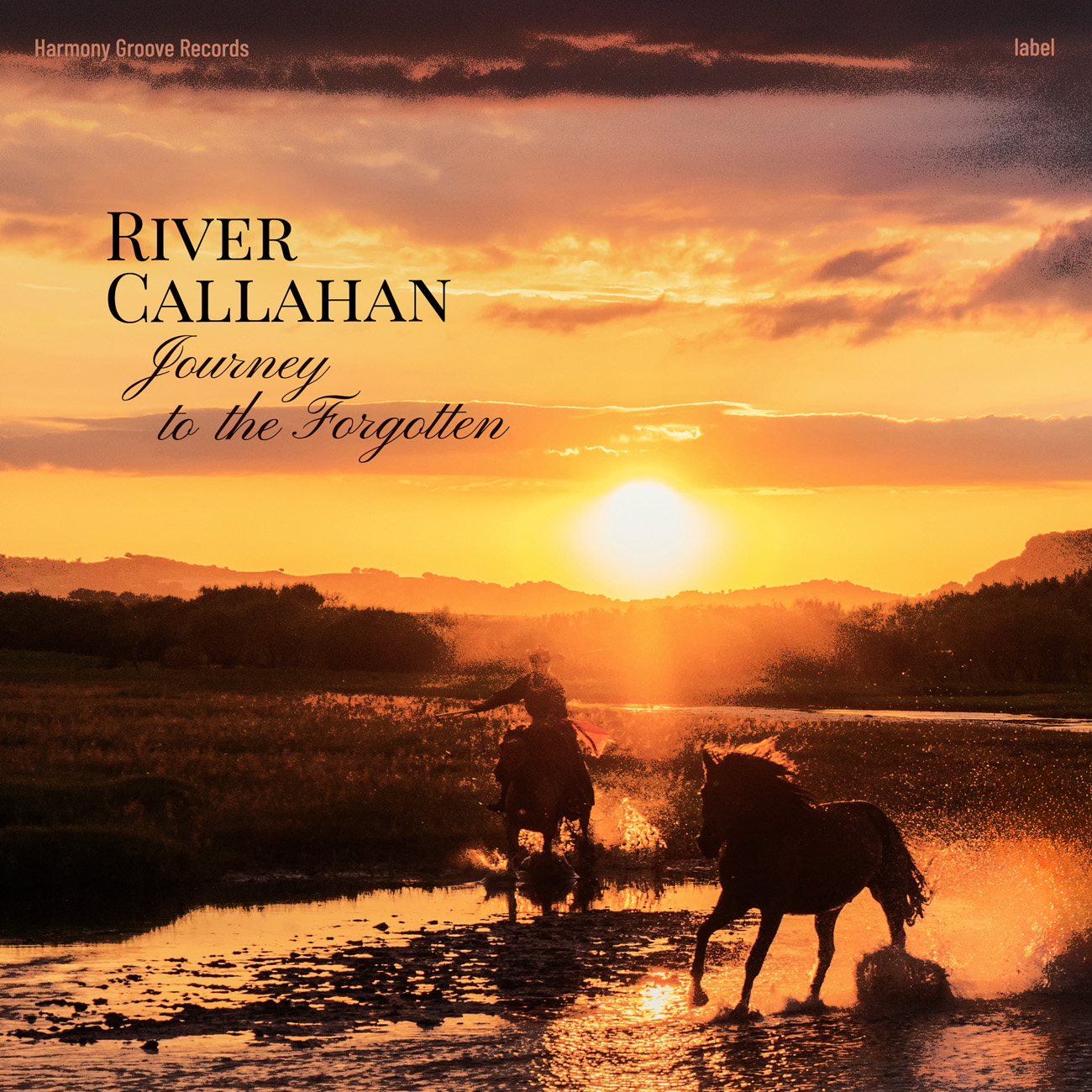 2D view of Premade Country & Acoustic Book Cover - Sambuca #16861 | AlbumArtZone*