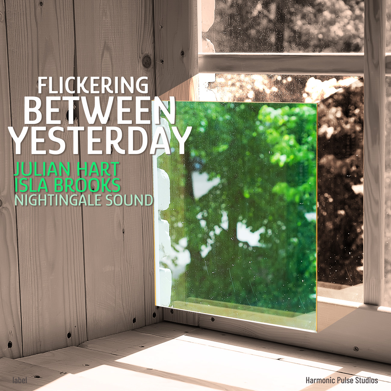 2D view of Premade Indie & Folk Music Album Cover - Pablo #16954 | AlbumArtZone*