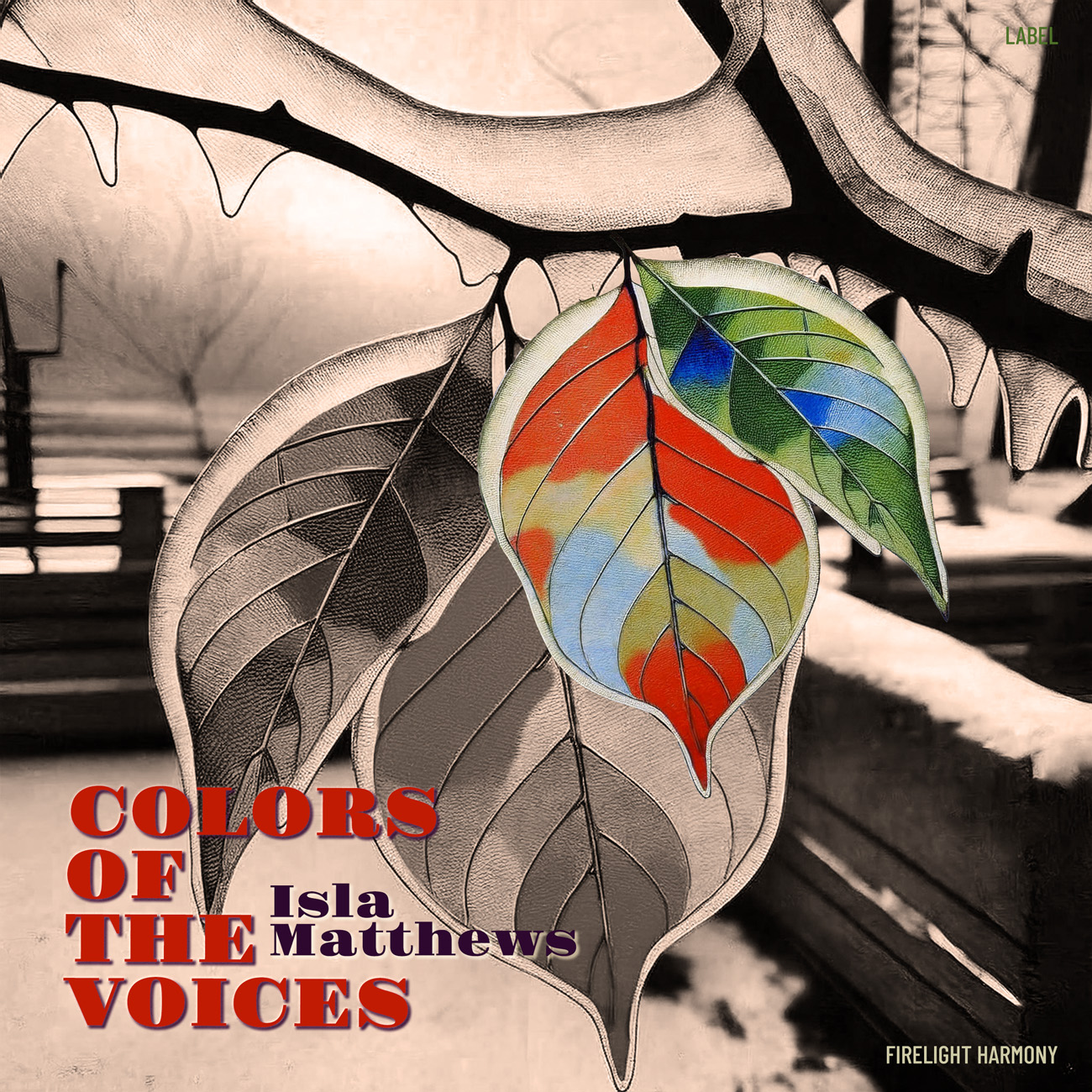 2D view of Premade Electronica & Ambient Album Cover - Akaroa #16981 | AlbumArtZone*