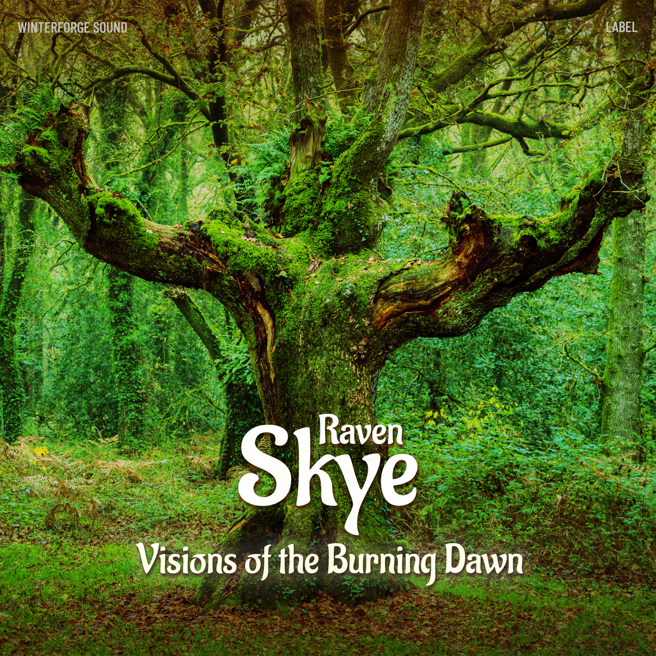 2D view of Premade Indie & Folk Music Book Cover - Waiouru #17028 | AlbumArtZone*