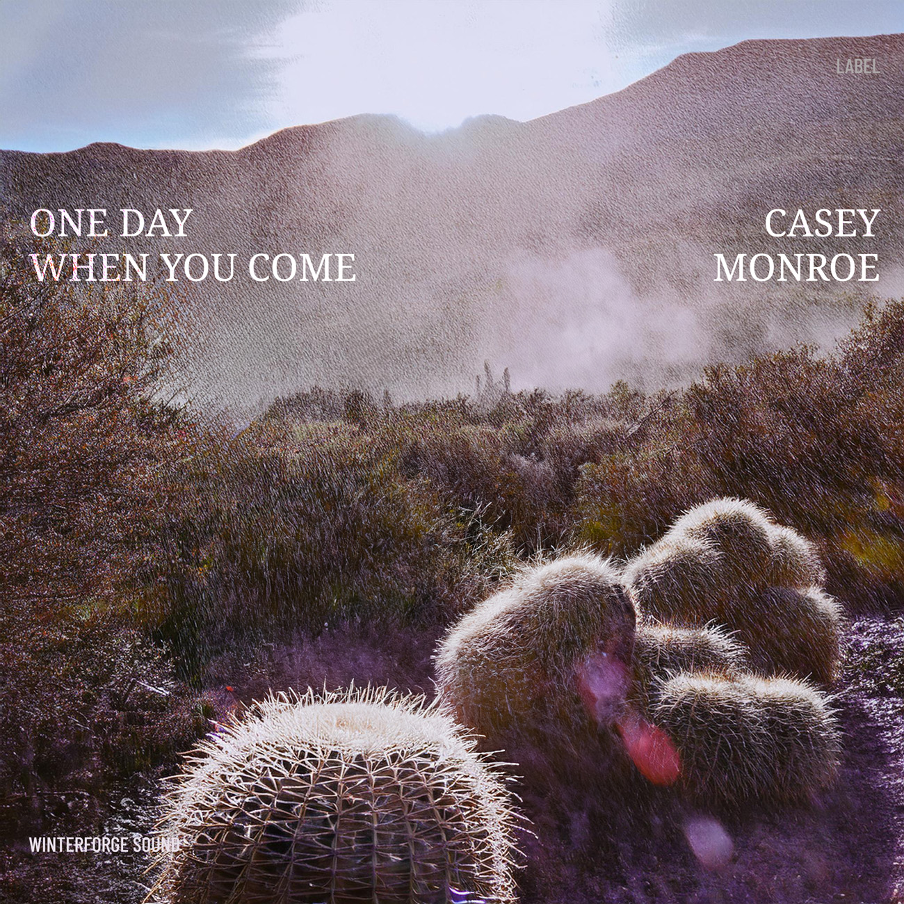 2D view of Premade Indie & Folk Music Album Cover - Woody Brown #17040 | AlbumArtZone*
