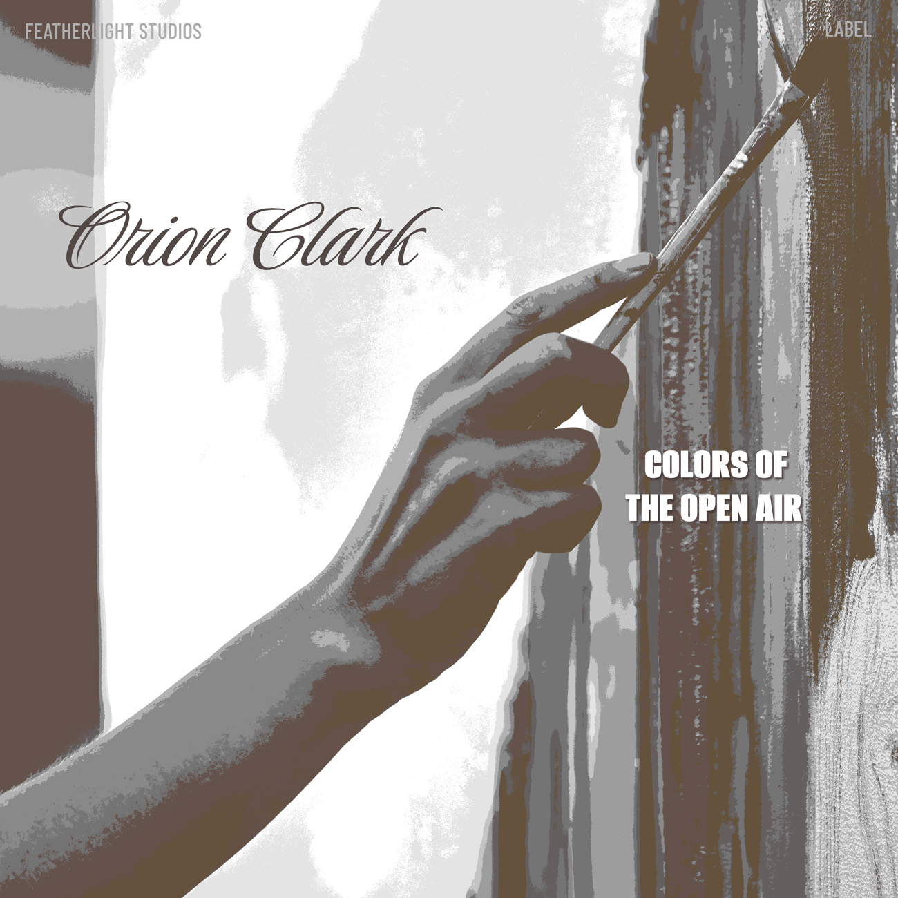 2D view of Premade Country & Acoustic Album Cover - Pine Cone #17194 | AlbumArtZone*