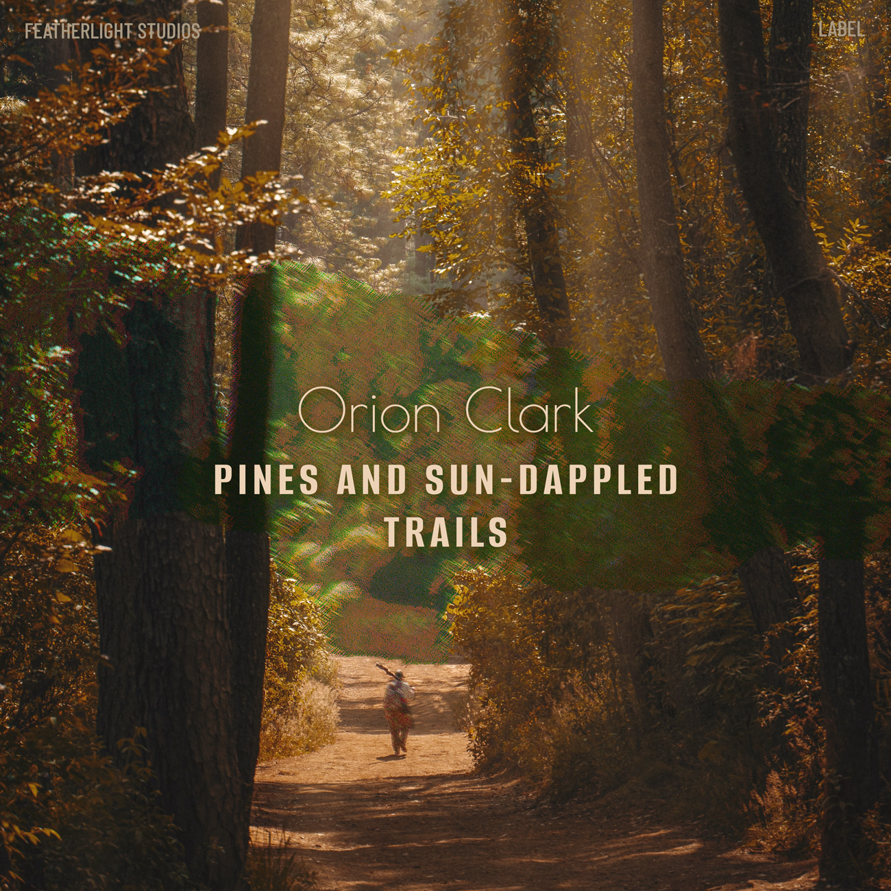 2D view of Premade Country & Acoustic Book Cover - Bistre #17201 | AlbumArtZone*