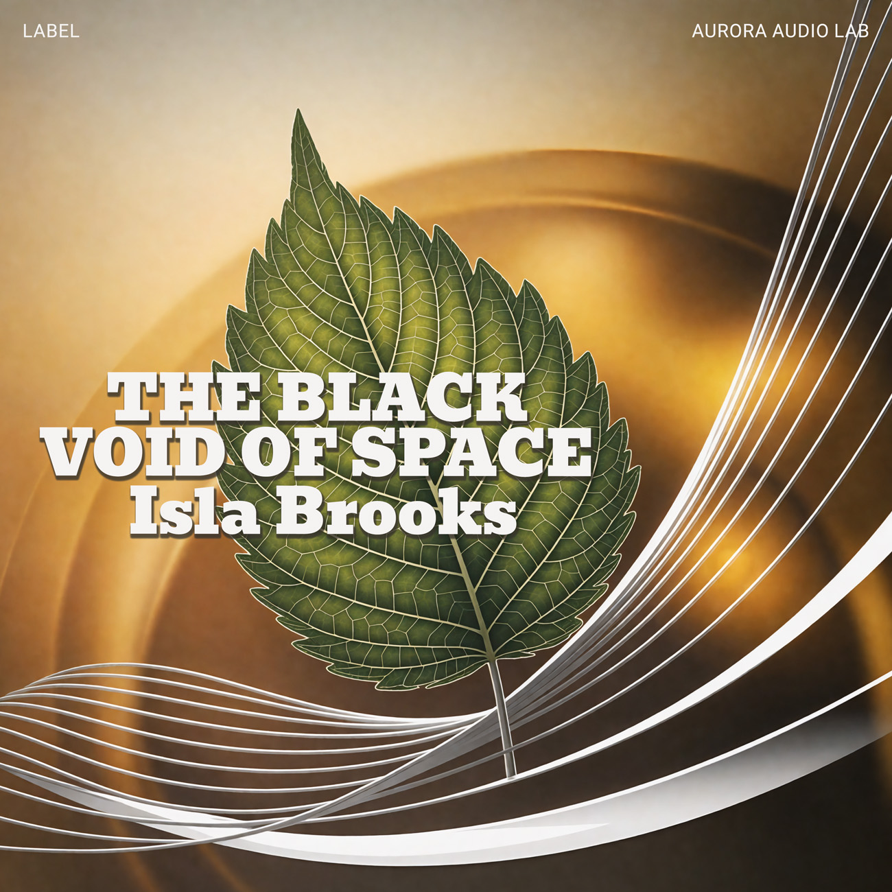 2D view of Premade Pop Album Cover - Millbrook #17487 | AlbumArtZone*