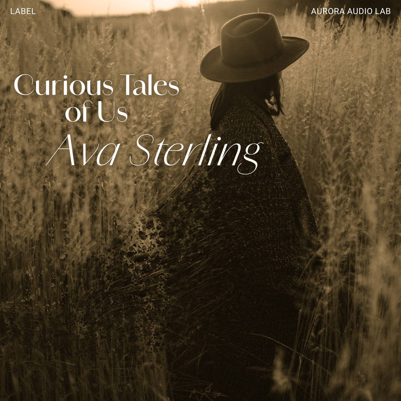 2D view of Premade Country & Acoustic Album Cover - Black Marlin #17592 | AlbumArtZone*