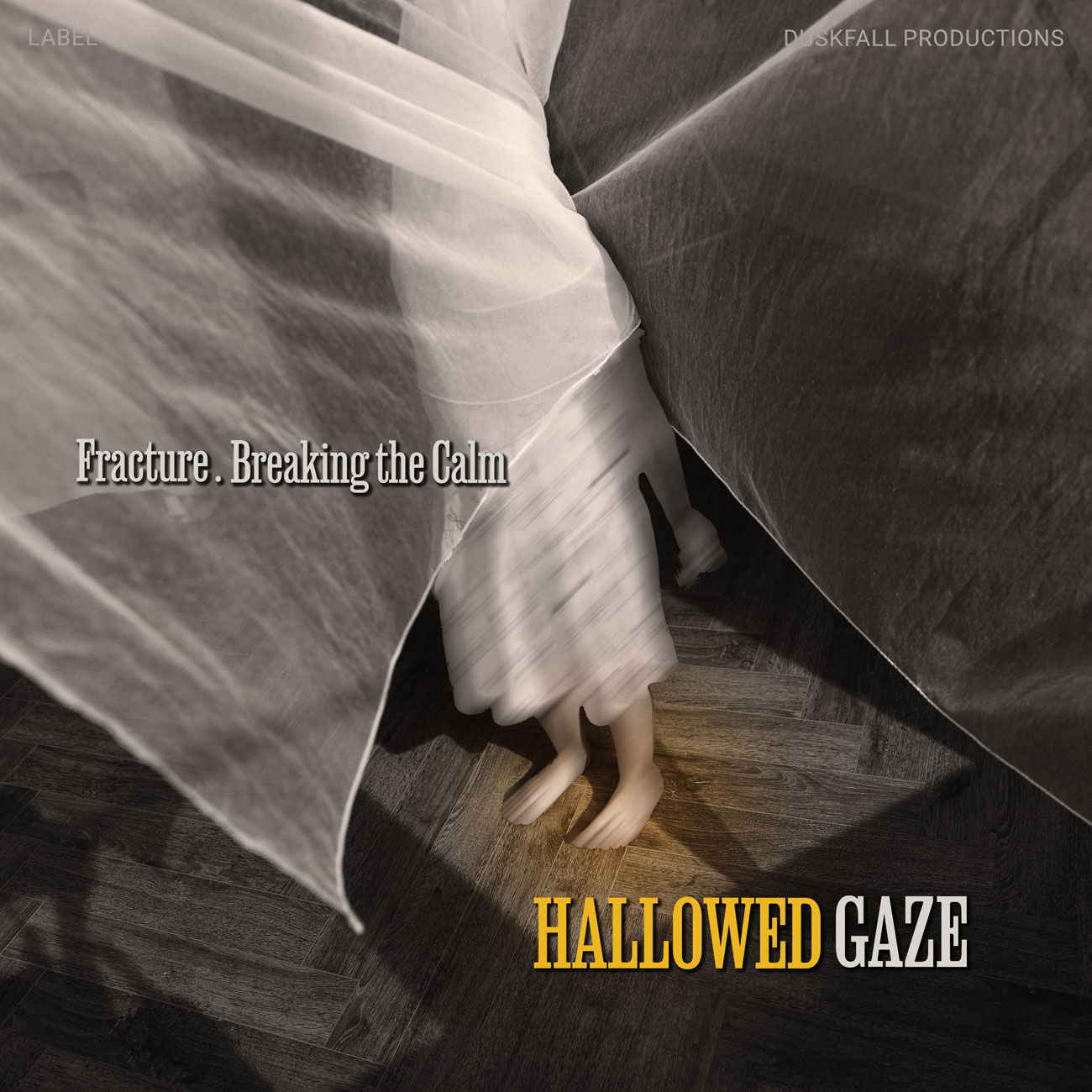 2D view of Premade Contemporary Music Album Cover - Merlin #17728 | AlbumArtZone*